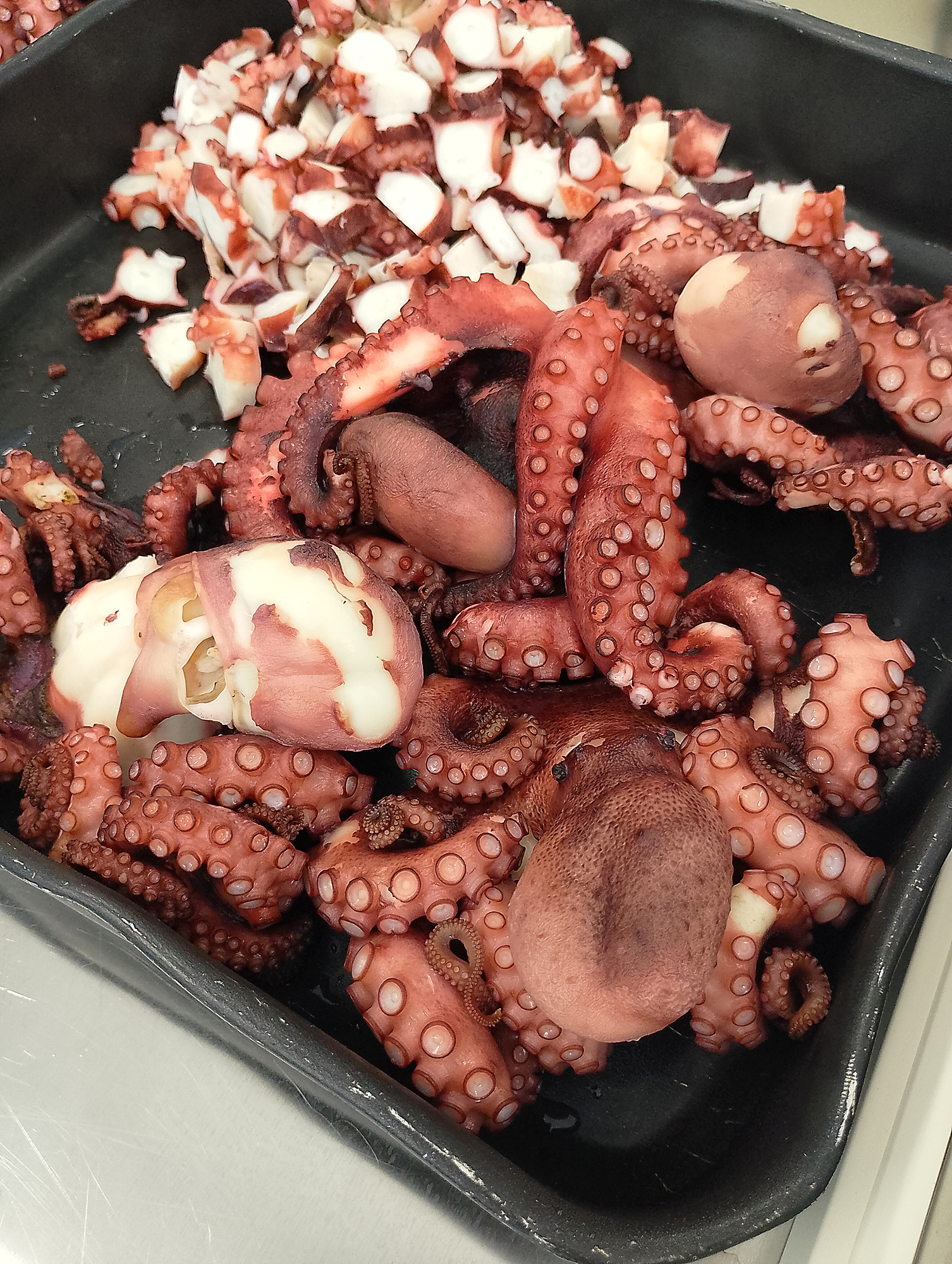 gastronomia-degli-orti-cucina-1