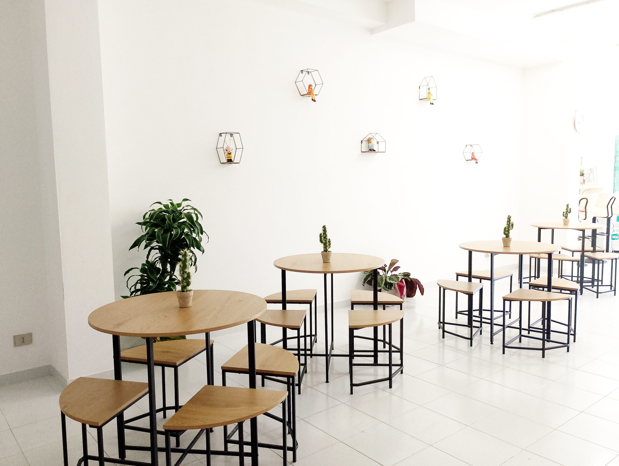 gastronomia-degli-orti-locale-1
